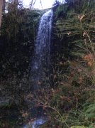 Silver Falls 12.10.05 012 
